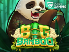 Casino slot game53